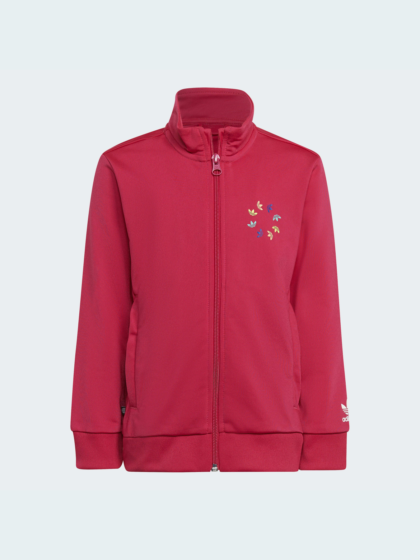 Спортивный костюм Adidas Adicolor модель HB9509 Фото