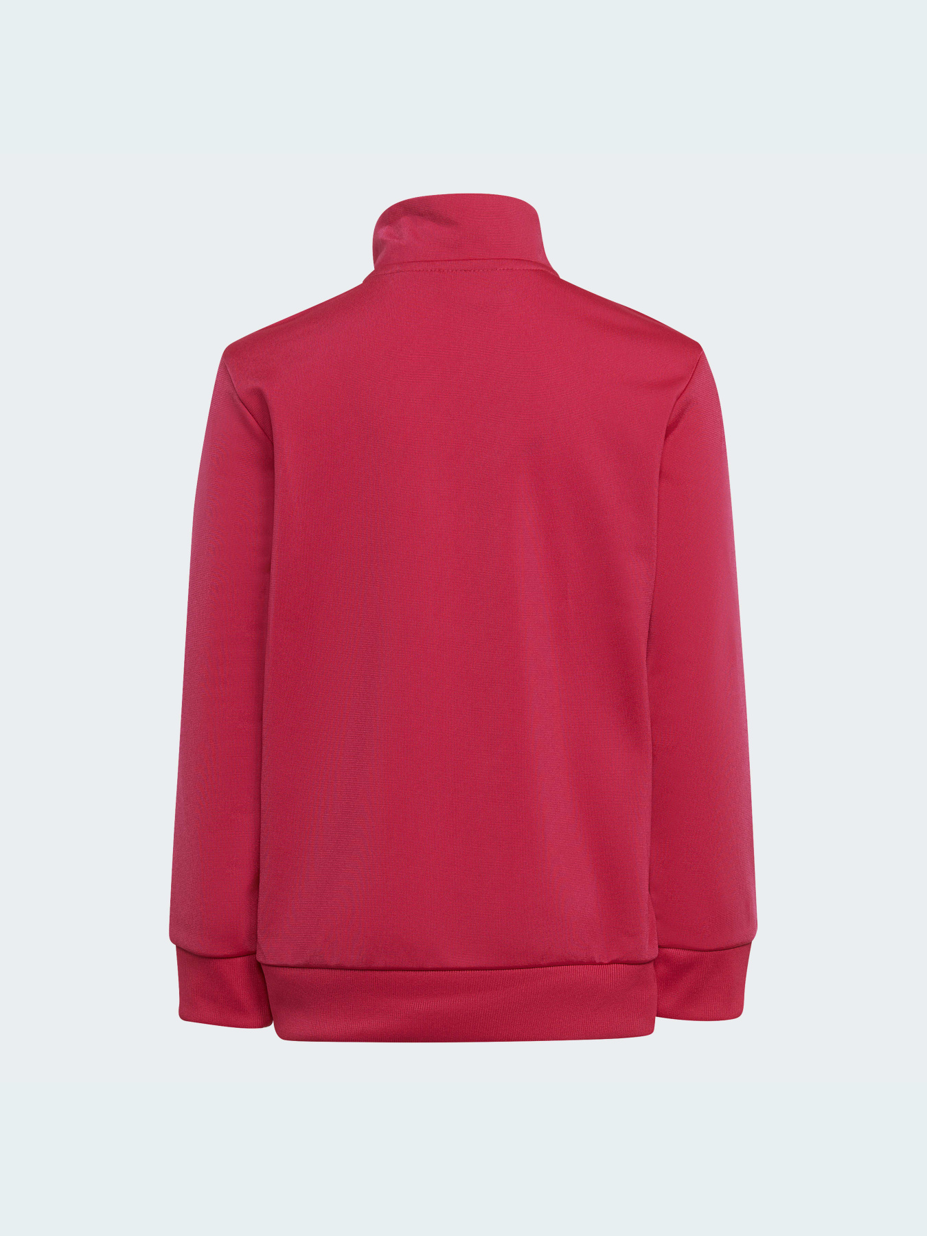 Спортивный костюм Adidas Adicolor модель HB9509 Фото