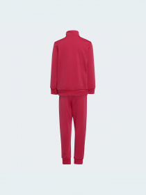 Спортивный костюм Adidas Adicolor модель HB9509 Фото