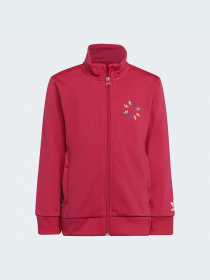 Спортивный костюм Adidas Adicolor модель HB9509 Фото