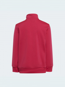 Спортивный костюм Adidas Adicolor модель HB9509 Фото