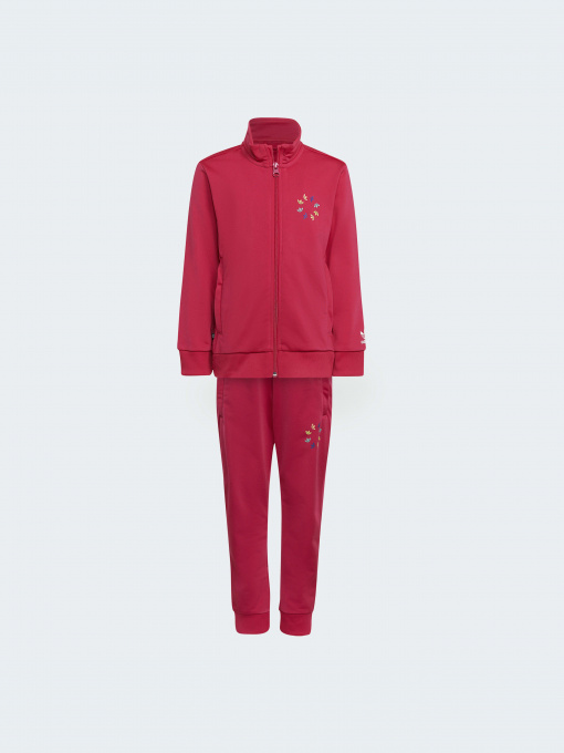 Спортивный костюм Adidas Adicolor модель HB9509 Фото