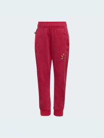 Спортивный костюм Adidas Adicolor модель HB9509 Фото