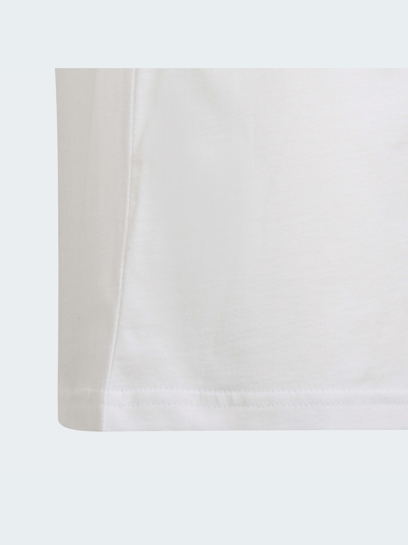 Футболка Adidas Adicolor модель HF2133 Фото