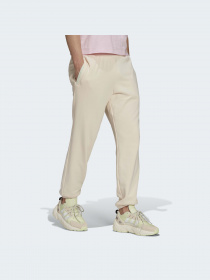 Джоггеры Adidas Graphics модель HI6010 Фото