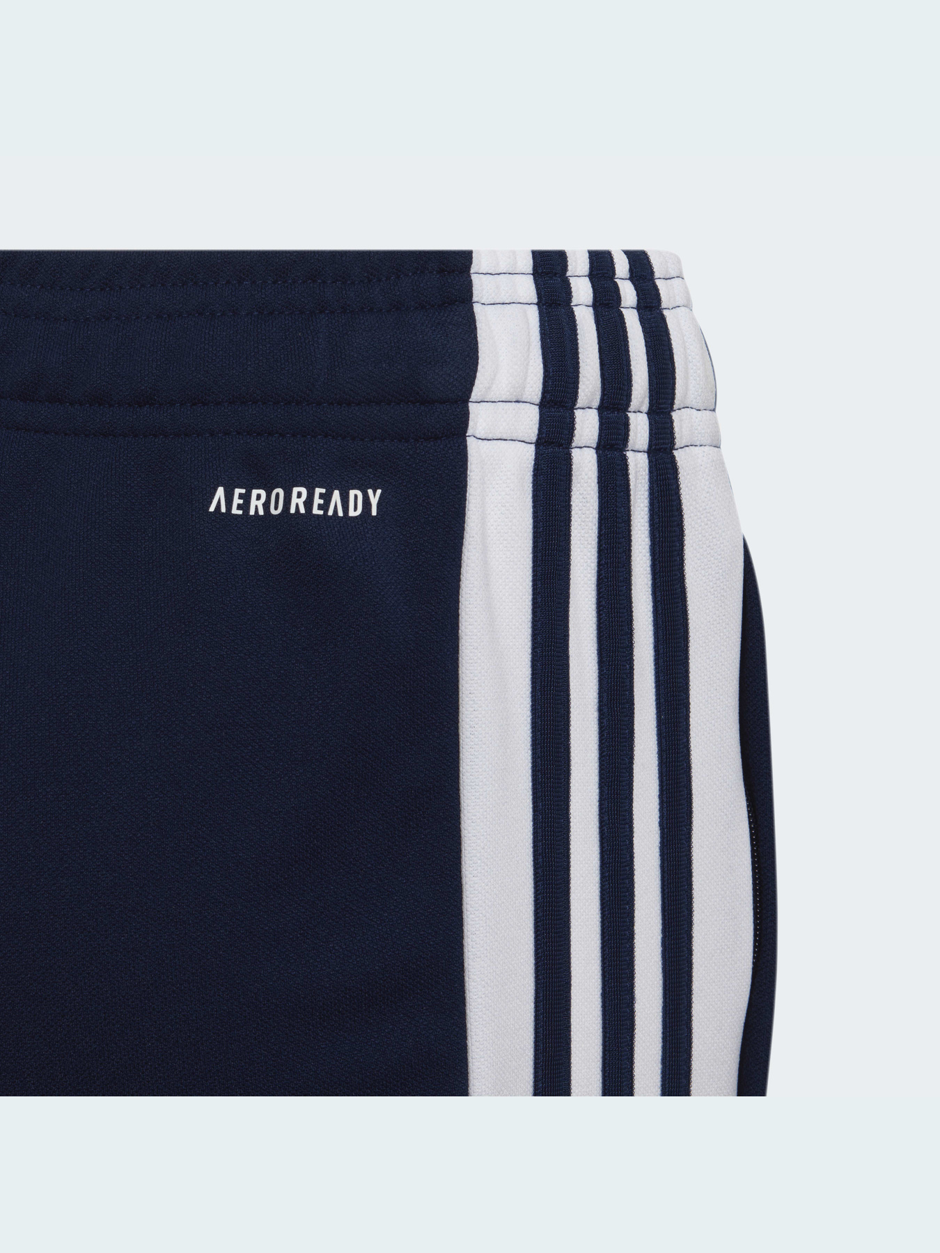 Спортивні штани Adidas модель HC6280 Фото