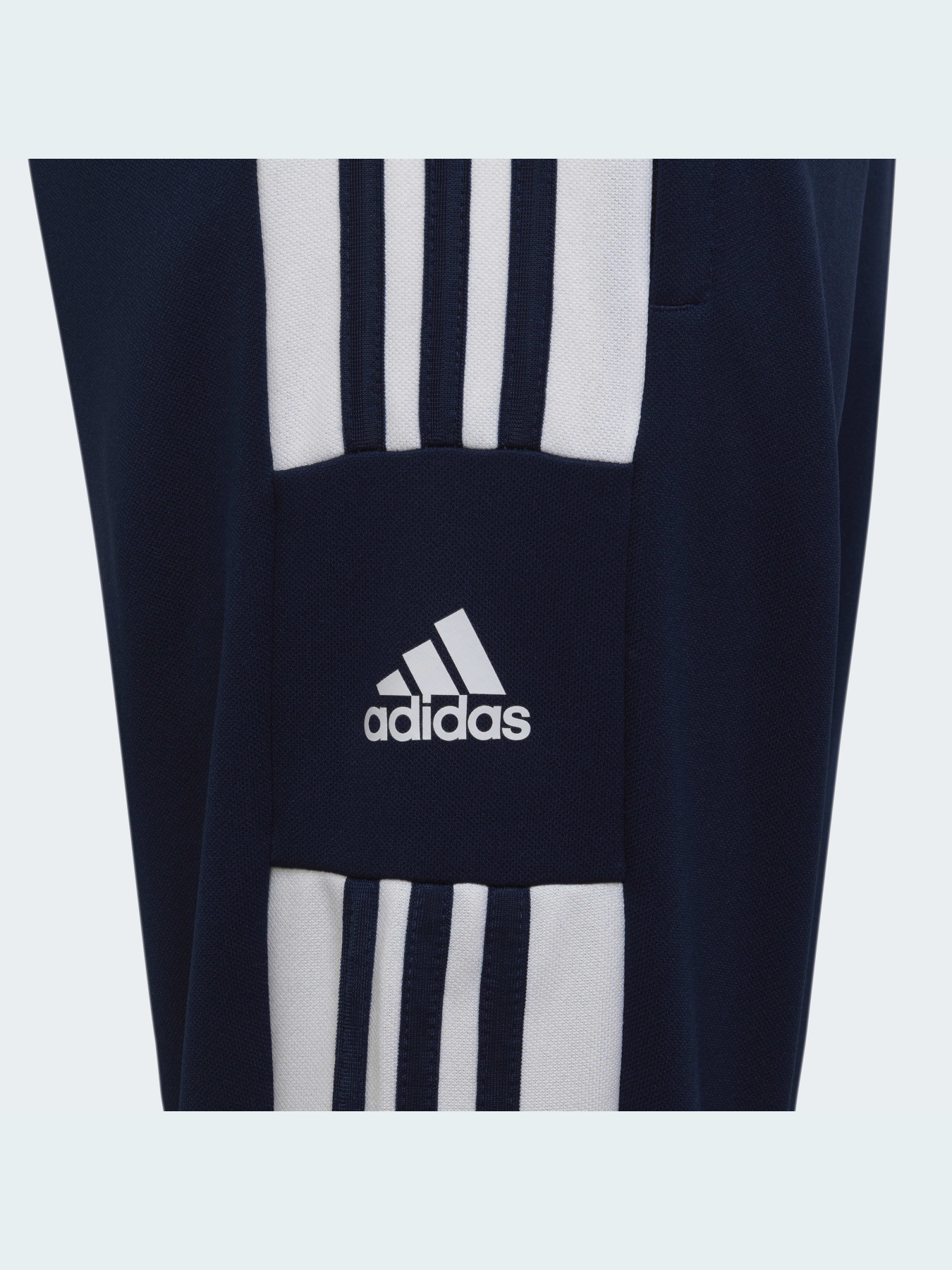 Спортивні штани Adidas модель HC6280 Фото