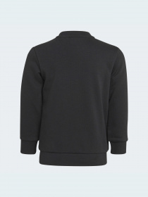 Спортивный костюм Adidas модель H25250 Спортивный костюм Adidas модель H25250 Фото