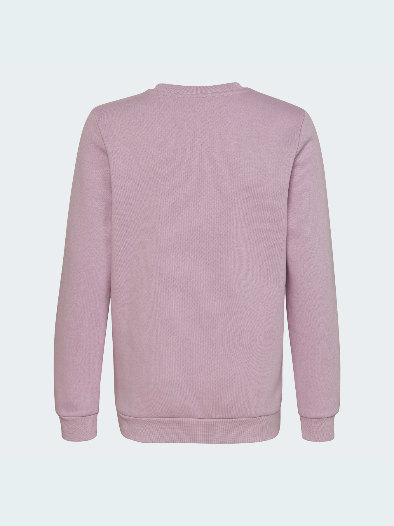 Свитшот Adidas Adicolor модель HK2893 Фото