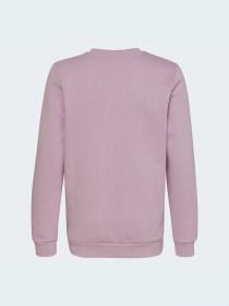 Свитшот Adidas Adicolor модель HK2893 Фото