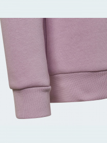 Свитшот Adidas Adicolor модель HK2893 Фото