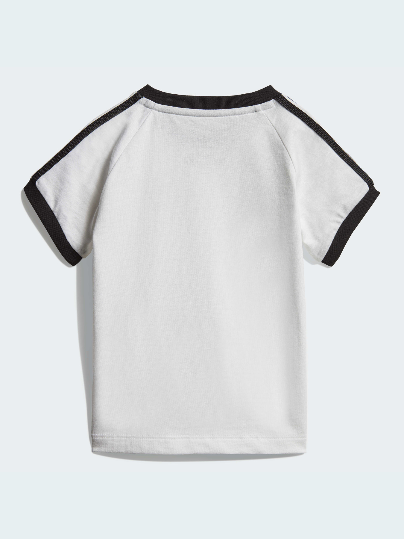 Футболка Adidas Adicolor модель DV2824 Фото