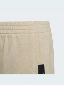 Шорты Adidas модель HE3134 Фото