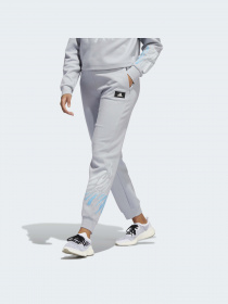 Джоггеры Adidas модель HE4946 Фото