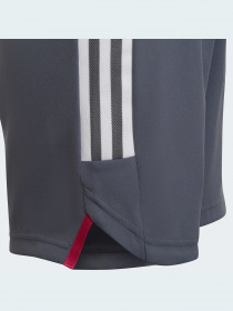 Шорты Adidas Condivo модель HA3570 Фото