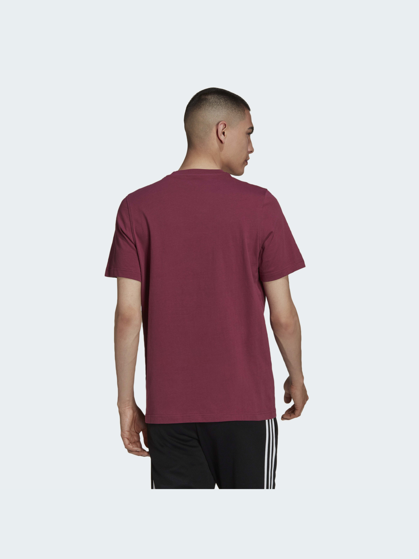 Футболка Adidas Adicolor модель H06641 Фото