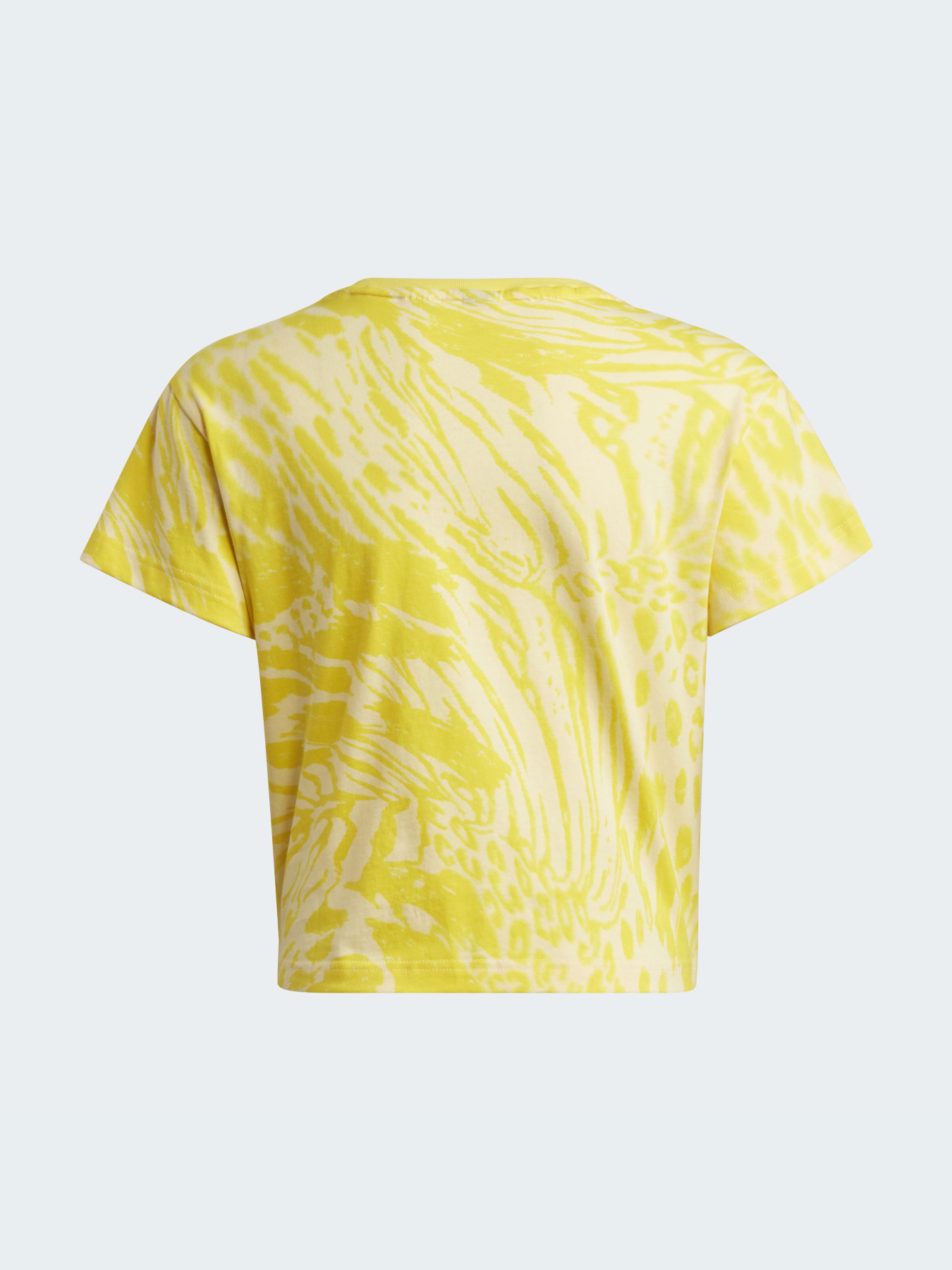 Спортивна футболка Adidas модель HN1062 Фото