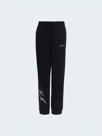 Штаны спортивные Adidas модель H65339 Фото