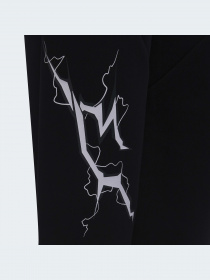 Штаны спортивные Adidas модель H65339 Фото