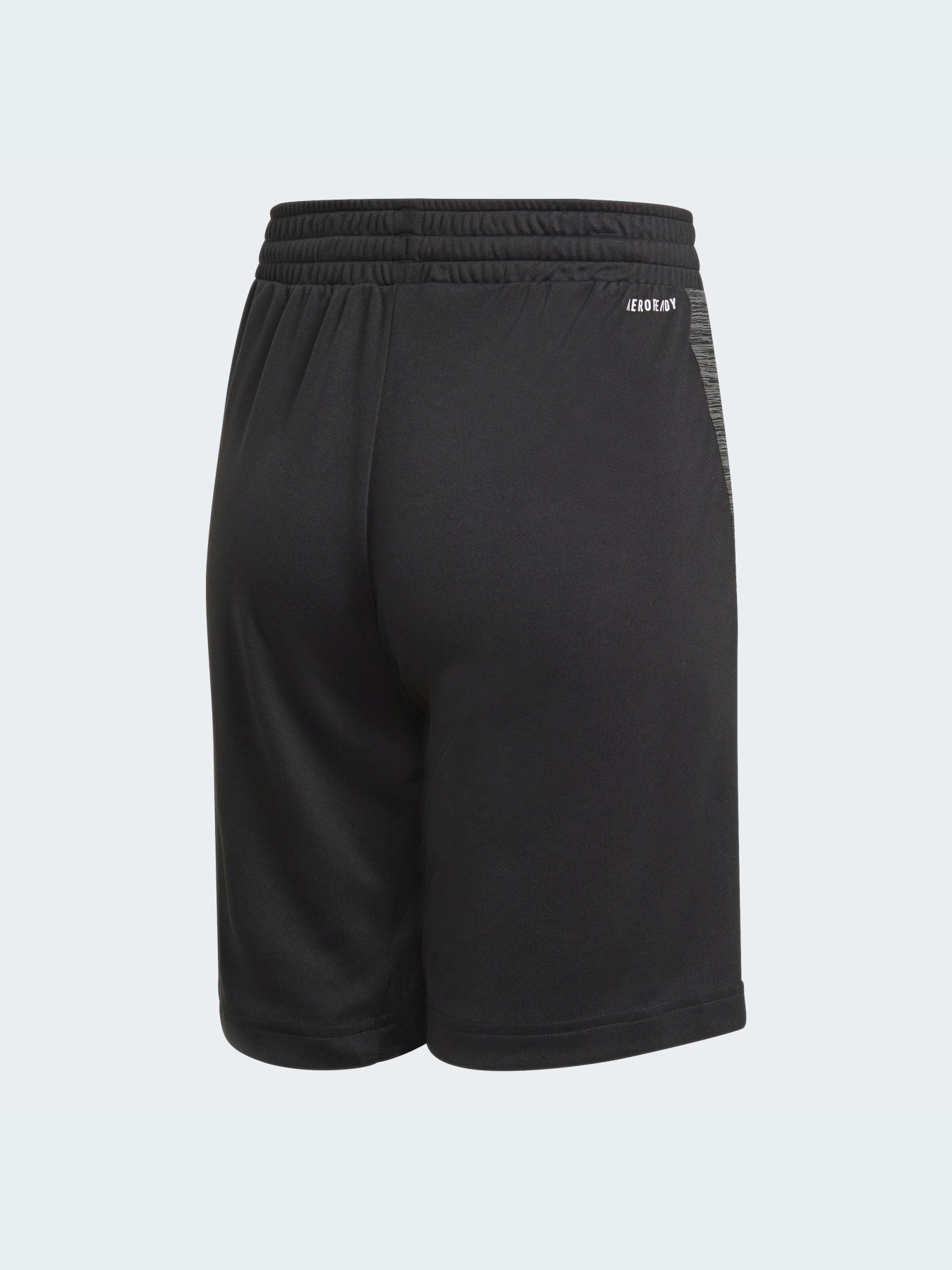 Шорты спортивные Adidas модель GM8469 Фото