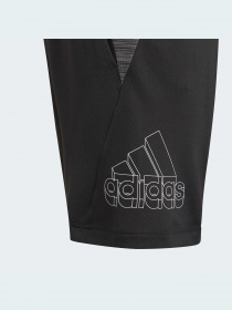 Шорты спортивные Adidas модель GM8469 Фото