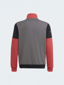 Кофта Adidas Adventure модель HE2065 Фото