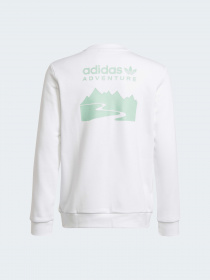 Свитшот Adidas модель HE2063 Фото