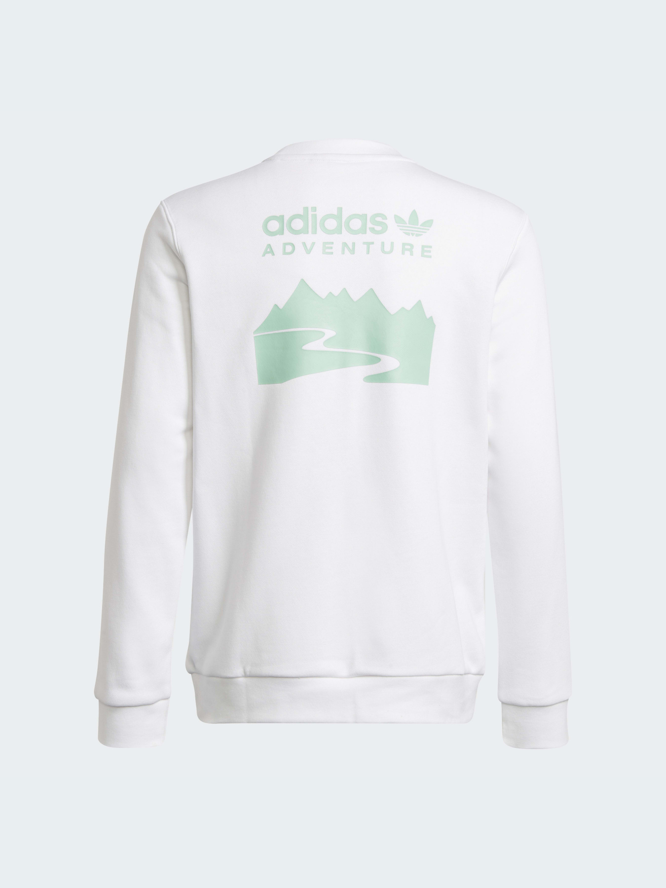 Свитшот Adidas модель HE2063 Фото