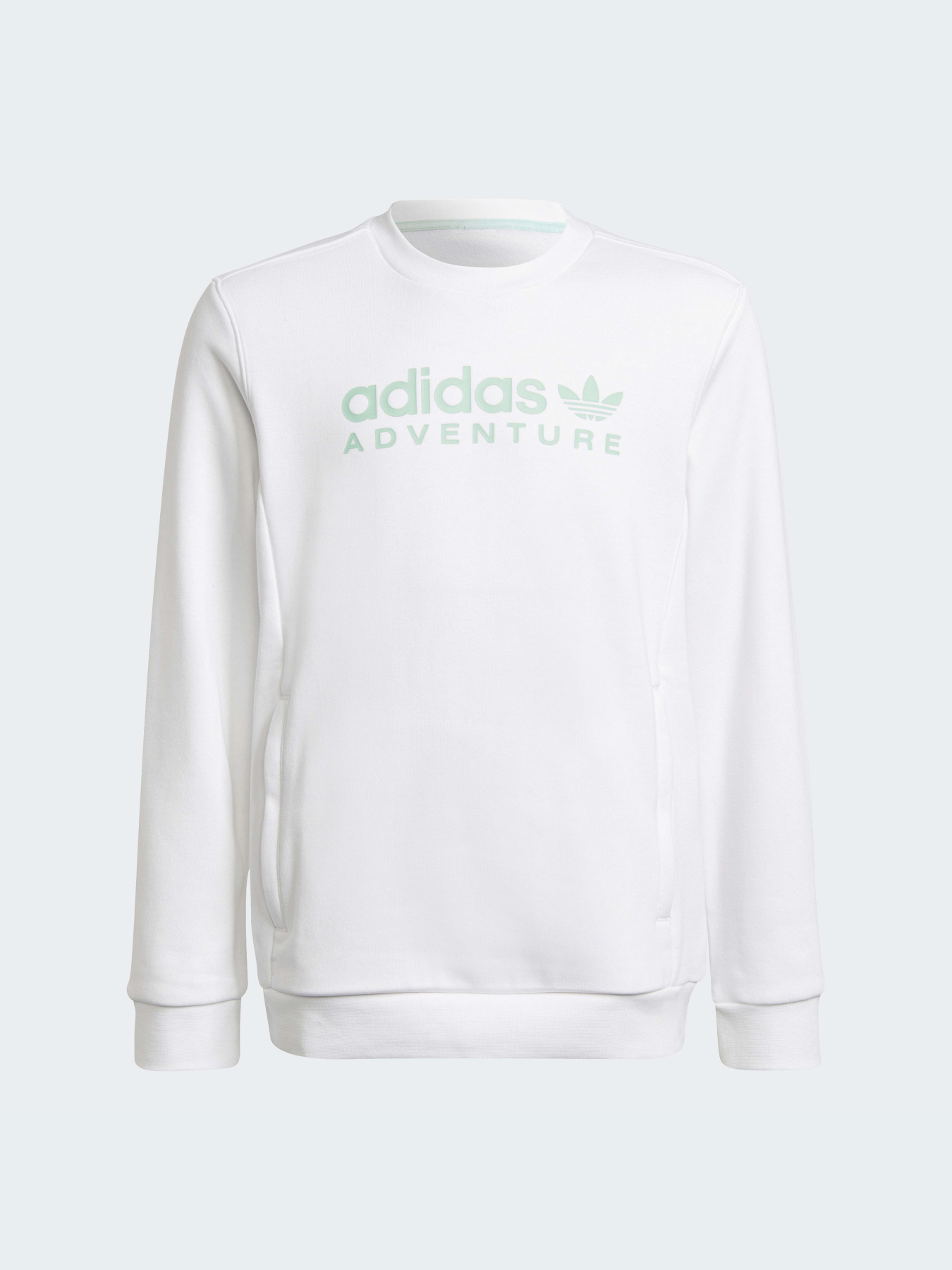 Свитшот Adidas модель HE2063 Фото