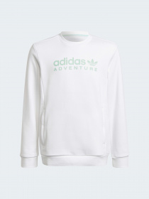 Свитшот Adidas модель HE2063 Фото