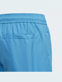 Шорти для плавання Adidas модель FL8714 Шорти для плавання Adidas модель FL8714 Фото