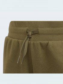 Шорти Adidas Adicolor модель HD2063 Фото