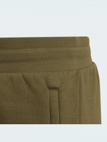 Шорти Adidas Adicolor модель HD2063 Фото