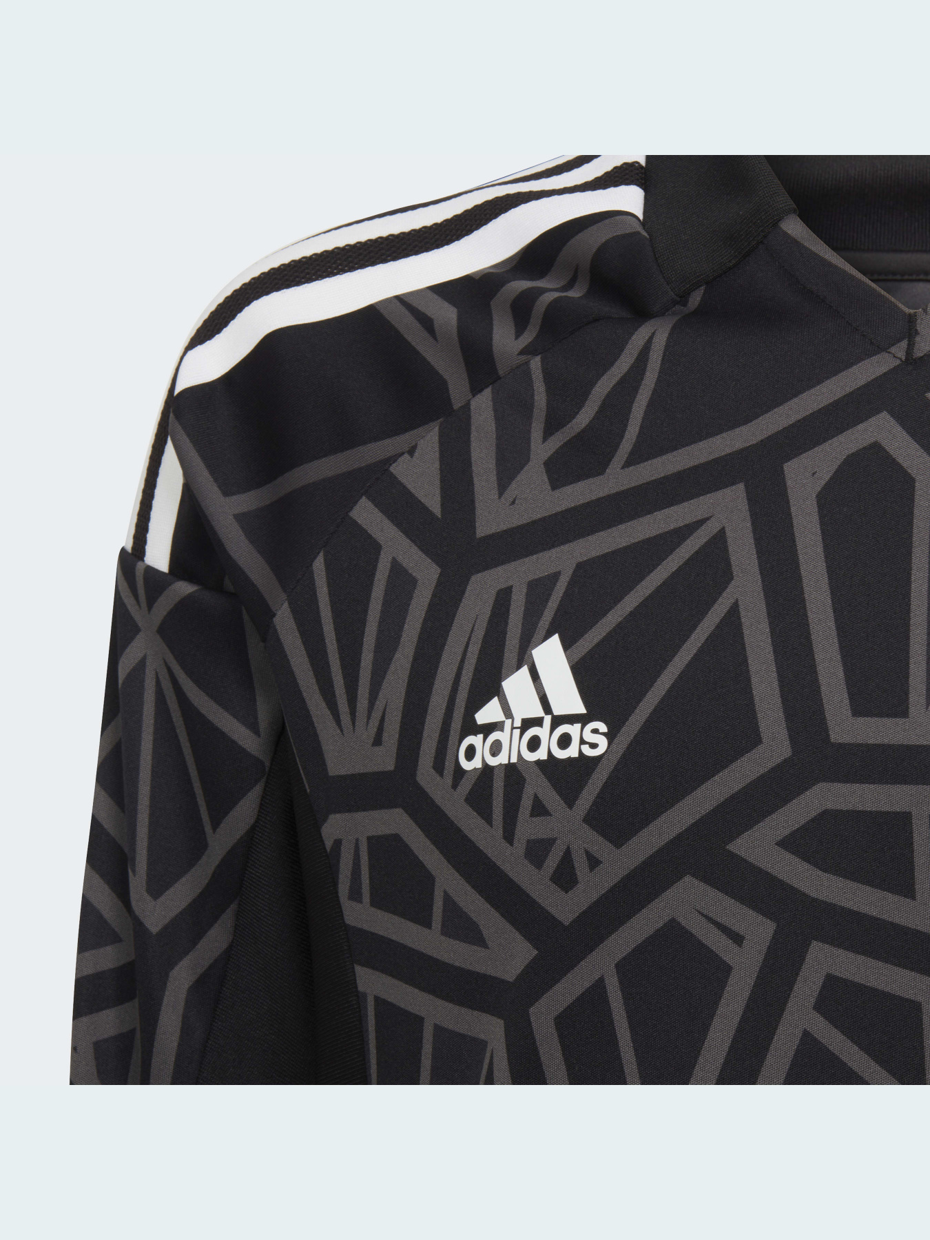 Кофта спортивна Adidas Condivo модель HB1643 Фото