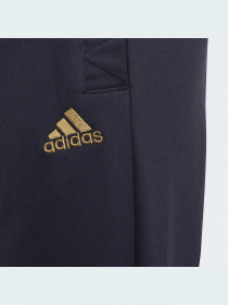 Штаны спортивные Adidas Tiro модель H56619 Штаны спортивные Adidas Tiro модель H56619 Фото
