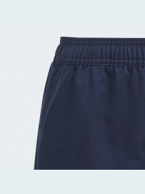 Шорты спортивные Adidas модель GI7640 Фото