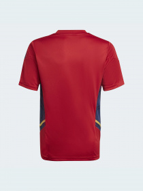 Спортивна футболка Adidas модель H58261 Фото