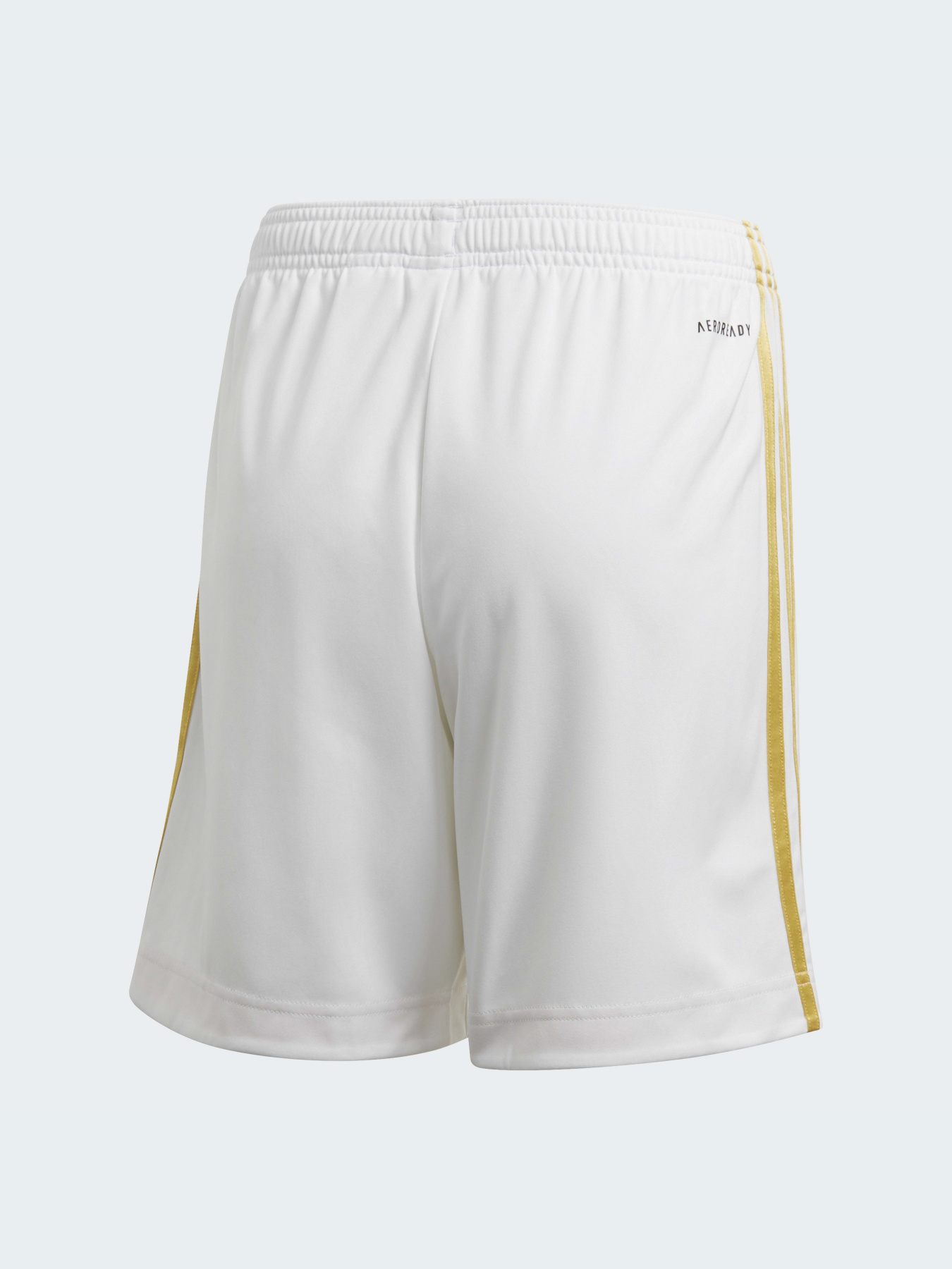 Шорты спортивные Adidas модель EI9897 Фото