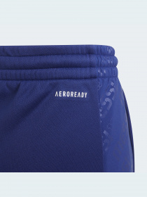 Штаны спортивные Adidas модель GT9406 Фото