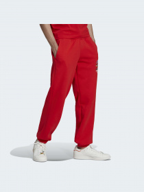 Повсякденні штани Adidas модель HK7444 Фото