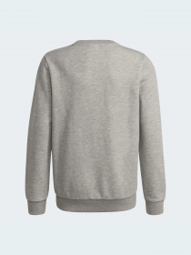 Свитшот Adidas модель GS4273 Фото