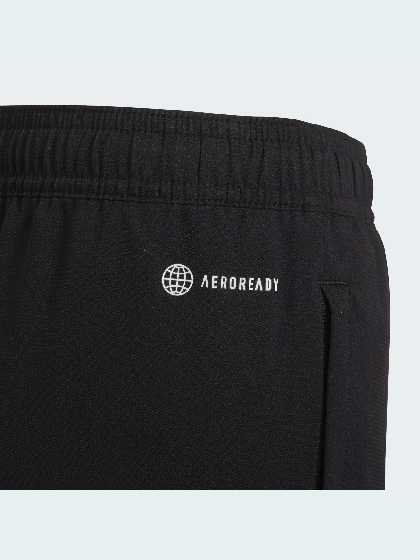 Штаны спортивные Adidas модель H57538 Фото