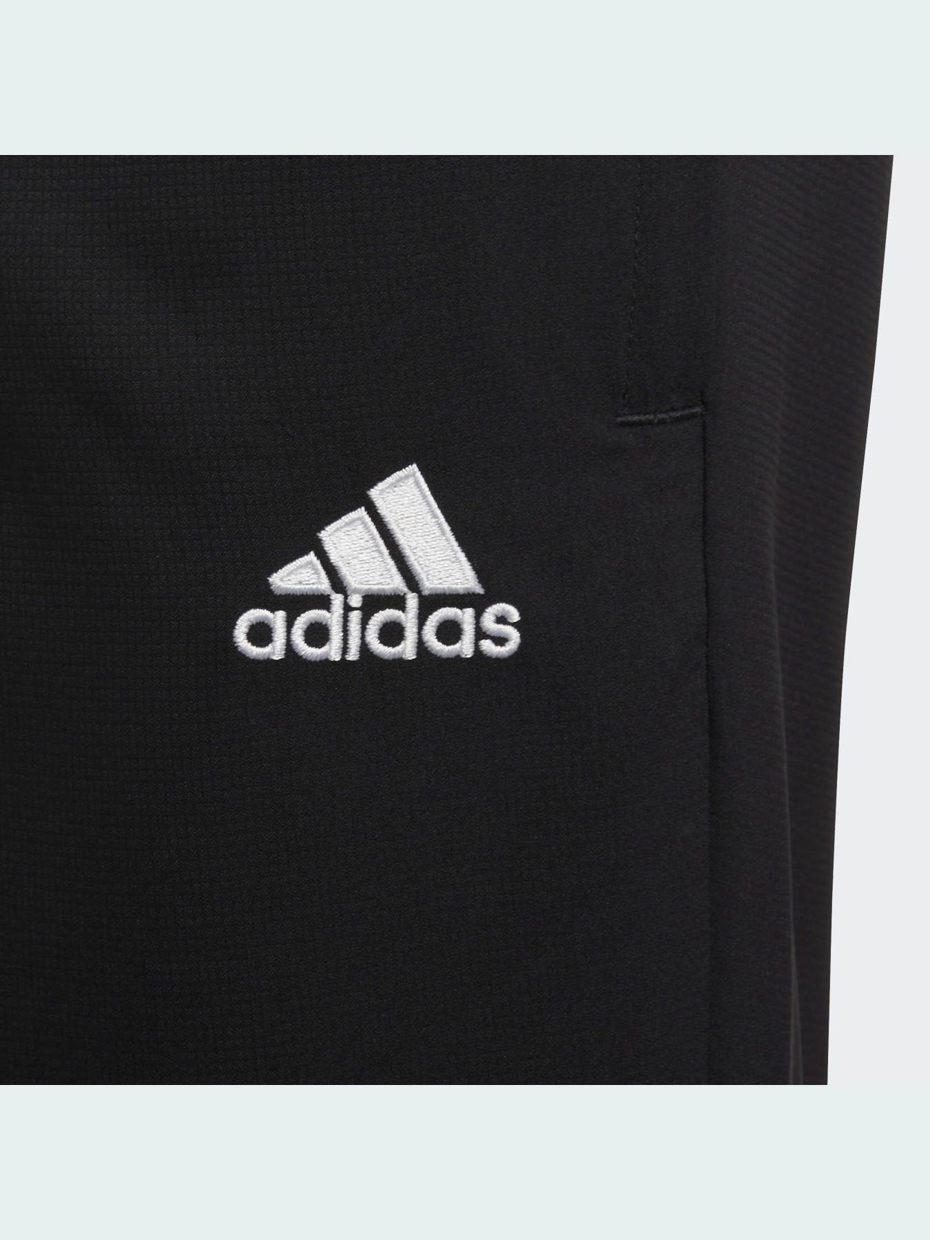 Спортивні штани Adidas модель H57538 Фото