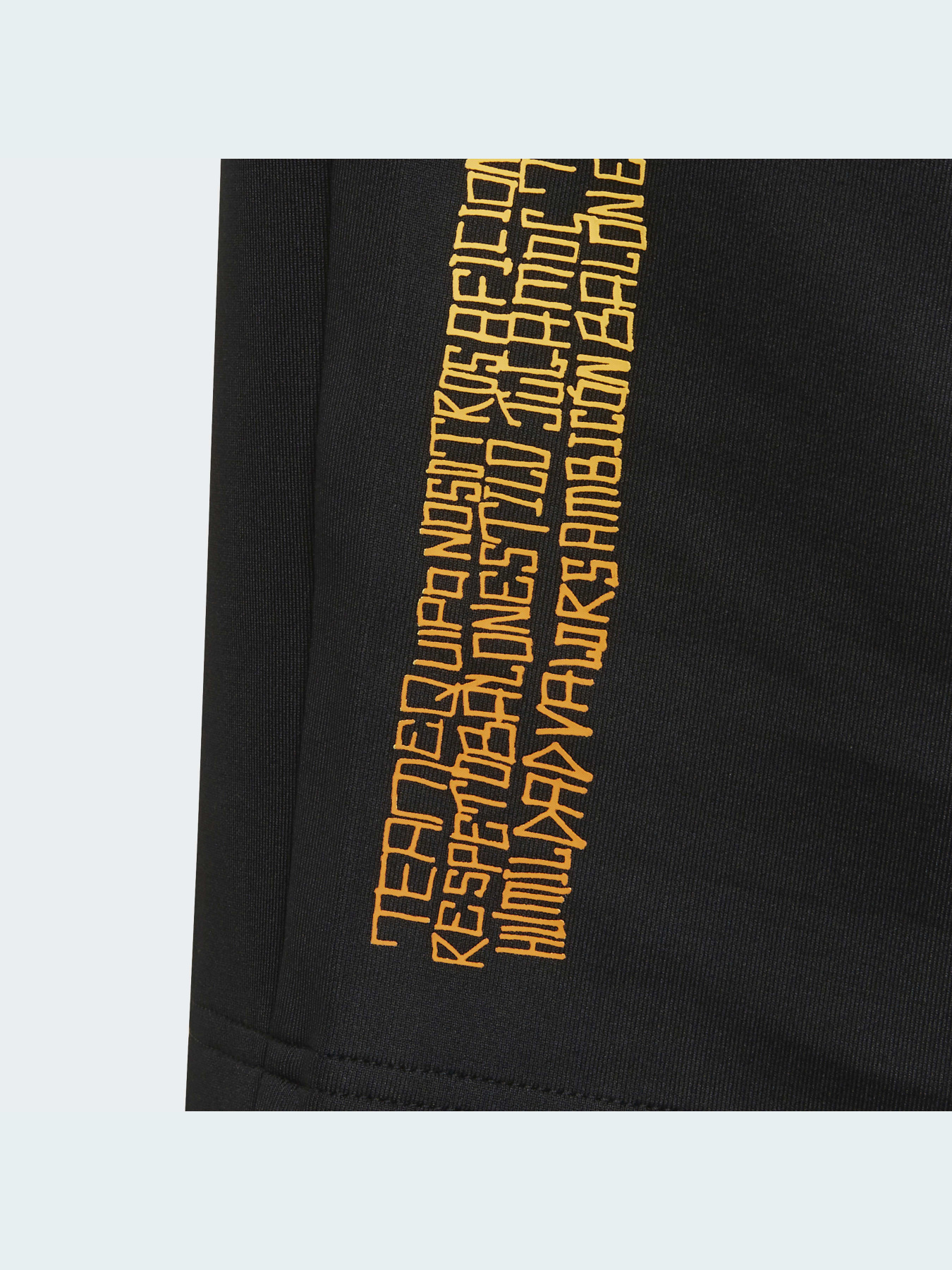 Шорты спортивные Adidas модель H59763 Фото