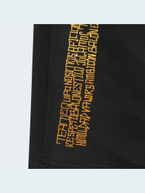 Шорты спортивные Adidas модель H59763 Фото