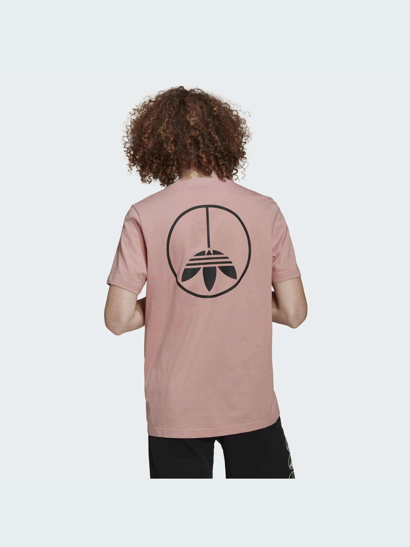 Футболка Adidas Graphics модель HF4910 Фото