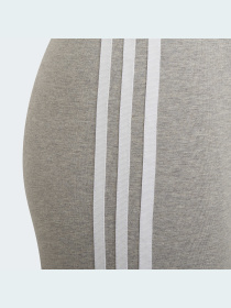 Велосипедки Adidas Adicolor модель HD2039 Велосипедки Adidas Adicolor модель HD2039 Фото