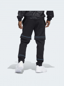 Штани Adidas Graphics модель HB5475 Фото