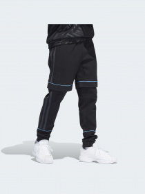 Штани Adidas Graphics модель HB5475 Фото