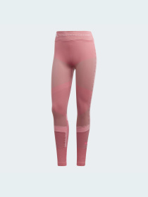 Спортивні леггінси Adidas модель FL1720 Фото